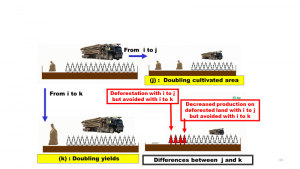 Pour doubler la production on peut, soit doubler la surface cultivée sans augmenter les rendements par hectare (scénario de transition de i vers j), soit doubler les rendements sans augmenter les surfaces cultivées (i vers k). Dans ces changements il faut prendre en compte tout à la fois (1) les émissions de GES résultant des réductions des stock de carbone résultant des changements d’utilisations des terres (du défrichement des forêts comme sur cette figure, ou de la mise en culture des prairies), (2) la diminution des produits auparavant récoltables sur la surface défriché (bois ou fourrage)e et qui pouvaient remplacer des énergies fossiles et (3) les émissions de GES sur les surface cultivées (Riedacker 2008 a et b) A titre d’exemple : en Allemagne sans fertilisation azotée (la plus énergivore des cultures et la plus émettrice de GES) il est possible d’obtenir 9.4 t de biomasse (grain et paille) par ha, alors qu’avec 170 kg d’azote on peut obtenir 16.4 t de biomasse (+ 7 t de biomasse). (from Küster & Lammers 1999). Avec une émission de 11,7 t CO2e par tonne d’azote apportée sous forme d’urée) l’émission moyenne par ha (pour la production, le transport et le protoxyde d’azote au champ) augmente d’environ 2 tCO2e per ha. Cette émission annuelle supplémentaire peut être compensée en convertissant efficacement moins d’une tonne de biomasse en chaleur pour remplacer du pétrole. Il reste alors, à émissions totales de GES identiques, un surplus de 6 t de biomasse par an grâce à la fertilisation azotée Cette biomasse additionnelle peut aussi servir de fourrage. Pour produire la même quantité de biomasse sans apports d’azote, il faut 1,75 ha (+0,75 ha). Ce changement d’utilisation des terres générerait un supplément 234 t de CO2 en cas de déforestation et de 69 t de CO2 en cas de mise en culture de prairies 