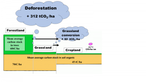 Stocks moyens de carbone par hectare dans les biomasses et dans la matière organique des sols, des forêts, des prairies et des cultures en France (Riedacker 2008 a). Les apports d’engrais de champs de blé bien fertilisés généraient environ 2,7 t de CO2e par ha (petite bulle à droite) en 2000 contre 0,7 tCO2e en 1950, mais pour des rendements alors quatre fois moindre qu’en 2000. Un défrichement moyen, (½ de prairie et ½ de forêt) émet environ 200 t de CO2, cent fois plus que l’augmentation de l’apport apport annuel d’engrais pour doubler les rendements. Mais comme les émissions des apports d'engrais ne se produisent qu’année après année, alors que celles des défrichements ont lieu dès la première année, il est plus avantageux pour le climat d’apporter des engrais au moins pendant deux siècles. Cela permet en outre de préserver la production de bois/fourrage et les services environnementaux des surfaces non défrichées (cf. Fig.3).